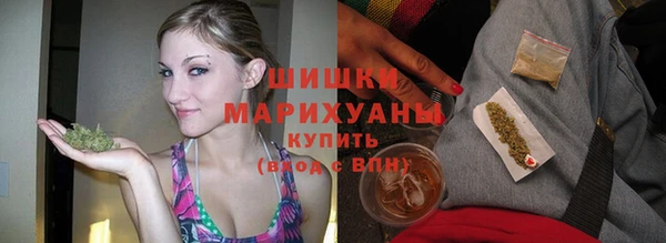 PSILOCYBIN Артём